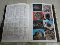 MINERALS　ROCKS　AND　PRECIOUS　STONES　　英文ハードカバー　ヤケシミ汚難痛有　送料300円　S1右3