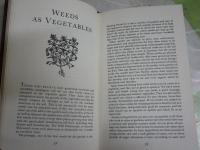 WEEDS　THE　COUNTRY　WAY　　ROBIN　PAGE　英文ハードカバー　ヤケシミ汚難有　S1右3　送料300円