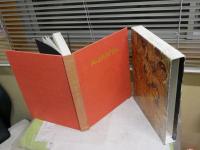 アジャンタ　AJANTA　石窟寺院と壁画　　高田修　田枝幹宏　　初版函　ヤケシミ汚難痛有　褪色有　ゆうパック送付　E1右下段