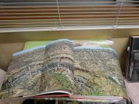 アジャンタ　AJANTA　石窟寺院と壁画　　高田修　田枝幹宏　　初版函　ヤケシミ汚難痛有　褪色有　ゆうパック送付　E1右下段