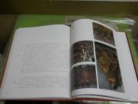 アジャンタ　AJANTA　石窟寺院と壁画　　高田修　田枝幹宏　　初版函　ヤケシミ汚難痛有　褪色有　ゆうパック送付　E1右下段