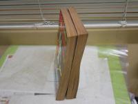 ポップコーン　　第2・4号　2冊セット　ヤケシミ多し汚難有　　レターパックプラス送付　E9右中
　