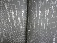 季刊　エピステーメーⅡ0号　ミシェルフーコー　死の閾　　初版　ヤケシミ汚有　レターパックプラス送付　S1左1下段