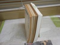 理想　7冊セット　・禅　139号S17年　・感情の論理　442号1970年　・哲学の饗宴　527号1977年　・ギリシアを興す　497号1974年　・プラトン　570号1980年　・倫理学の再発見　685号2010年　・終末期の意思決定　692号2014年　　ヤケシミ汚難痛有　レターパックプラス送付　S1左1