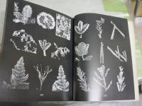SNOW　CRYSTALS　　W・A・BENTLEY　AND　W・J・HUMPHREYS　　ペーパーバック　ヤケシミ汚スレ有　E2右中　送料300円