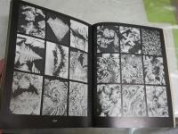SNOW　CRYSTALS　　W・A・BENTLEY　AND　W・J・HUMPHREYS　　ペーパーバック　ヤケシミ汚スレ有　E2右中　送料300円