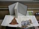 FAKE？　THE ART OF DECEPTION 　　MARK JONES　　ハードカバー　線引き1頁4行有　ヤケシミ汚難有　レターパックプラス送付　E2左中