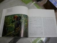HUNTERS　AND GATHERERS 　　JAMES WOODBURN 　ペーパーバックヤケシミ汚難痛有　　E2右中　送料300円　
