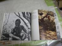 HUNTERS　AND GATHERERS 　　JAMES WOODBURN 　ペーパーバックヤケシミ汚難痛有　　E2右中　送料300円　
