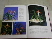 ・日本春蘭　　平野綏編著　ヤケシミ汚有　・富貴蘭　　田口源夫著　ヤケシミ汚難有　　2冊セット　レターパックプラス送付　E3右中