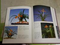 ・日本春蘭　　平野綏編著　ヤケシミ汚有　・富貴蘭　　田口源夫著　ヤケシミ汚難有　　2冊セット　レターパックプラス送付　E3右中