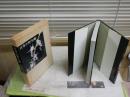 日本の野生蘭　　写真と文イズミエイコ著　丸山尚敏監修　　初版函　ヤケシミ汚難痛有　レターパックプラス送付　　E3右中