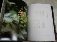 日本の野生蘭　　写真と文イズミエイコ著　丸山尚敏監修　　初版函　ヤケシミ汚難痛有　レターパックプラス送付　　E3右中
