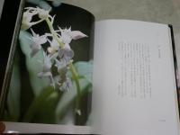 日本の野生蘭　　写真と文イズミエイコ著　丸山尚敏監修　　初版函　ヤケシミ汚難痛有　レターパックプラス送付　　E3右中