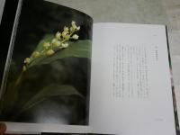 日本の野生蘭　　写真と文イズミエイコ著　丸山尚敏監修　　初版函　ヤケシミ汚難痛有　レターパックプラス送付　　E3右中