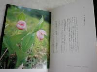 日本の野生蘭　　写真と文イズミエイコ著　丸山尚敏監修　　初版函　ヤケシミ汚難痛有　レターパックプラス送付　　E3右中
