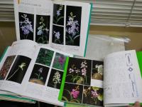 ・日本野生ラン花譜　1‐4全4冊セット　写真・文高橋勝雄　　初版　見返しテープ跡有　ヤケシミ少汚有　　・カラー版ホーム園芸　日本の野生ラン　　小田倉正圀著　108版　　計5冊セット　ゆうパック送付　E3左中
