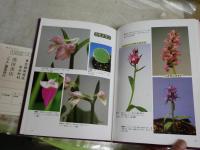 めずらしい野生蘭　　花の変異　葉芸の魅力　　三橋俊治編著　ヤケシミ汚有　E3右中　　