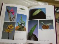 めずらしい野生蘭　　花の変異　葉芸の魅力　　三橋俊治編著　ヤケシミ汚有　E3右中　　