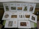 図書　岩波書店出版案内PR誌　1999・2000・2001年　3年分36冊セット　　ゆうパック　3階　ヤケシミ少汚有　・河合隼雄インタビュー「未来への記憶」6‐28終　　・村上陽一郎「科学哲学の窓」7回分　ほか