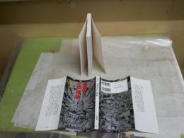 奇想の江戸挿絵　　辻　惟雄著　1刷　　集英社新書ヴィジュアル版　送料300円　K1左1