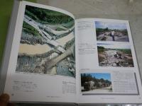 被害から学ぶ地震工学　　現象を素直に見つめて　　伯野元彦著　　H1右2下段　送料300円