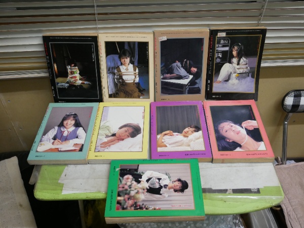 豪華版 SM秘小説 不揃9冊セット 5巻1・4号 6巻11・12号 8巻2・3・8号 9