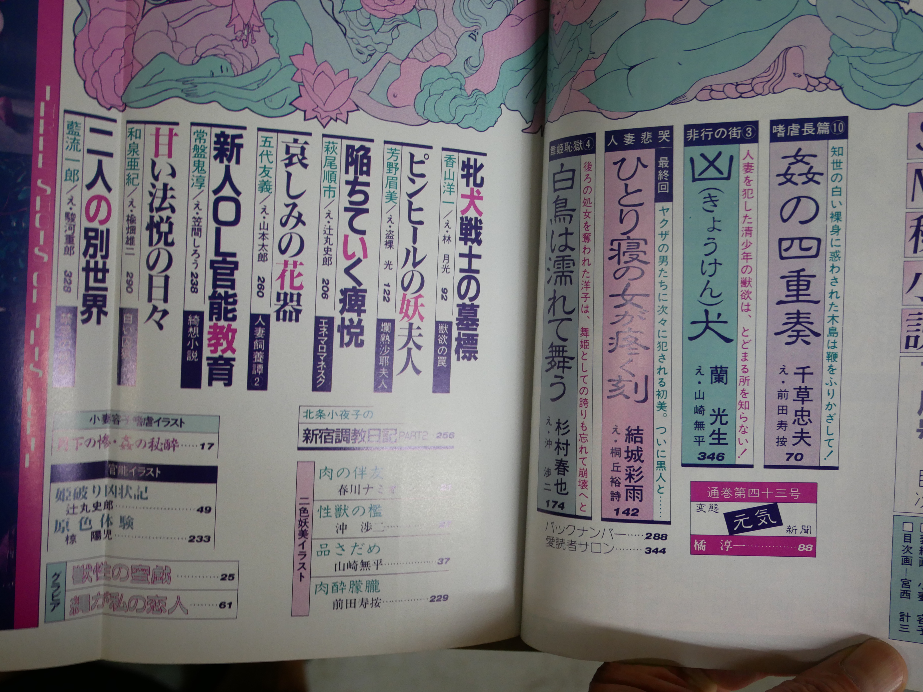 SM秘小説　86.1 86.4 2冊セット 豪華版 SM秘小説 不揃9冊セット 5巻1・4号 6巻11・12号 8巻2・3・8号 9