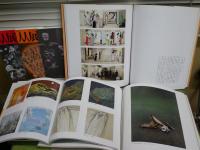図録カタログ　12冊セット　・人人展3冊　・創画展4冊　・日本画の4人展　・女流画家展　近代美人画名作展　　・第5回星野眞吾賞展　　ゆうパック送付　E1左下段
