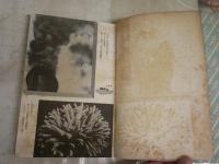 科学　七つの海　　丸川久俊著　　再版　ヤケシミ汚難痛有　H3左1