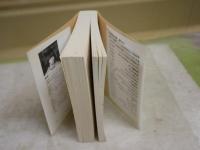 日英語表現辞典　最所フミ編著　　1刷　ヤケシミ汚難有　K2左