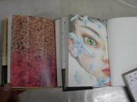 ホラードラコニア　少女小説集成　初版1刷帯　・菊燈台　澁澤龍彦著　山口晃絵　・狐媚記　澁澤龍彦著　鴻池朋子絵　・ジェローム神父　澁澤龍彦訳　会田誠絵　　3冊セット　K3中　平凡社ライブラリー　送料300円