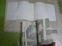 クマグスのミナカテラ　　内田春菊画　山村基毅原作　　初版　新潮文庫　送料300円　　K3中