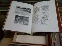 世界の手漉紙　外段ボール　帙　5冊セット　定価17万　ゆうパック送付　3F