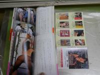 ブックマンフォトノベル　2・11・12・15　計4冊セット　オールカラー　新書　初版帯　　