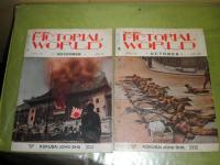 世界画報　　日支大事変号　第2・3輯2冊　13巻10・11号　昭和12年10・11月　ヤケシミ汚綴穴有　各80頁　NHK 　2棚下