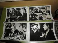 夜の最前線　女狩り　日活　1969年井田探監督　和田浩治　藤竜也　高品格　スチール写真7枚　S2の3下段

　