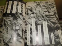 季刊月下の一群 創刊号 ヤケシミ汚難痛有 222頁 1976年5月 G1下段 澁澤龍彦 唐十郎往復書簡 種村季弘 妖精の書 について 四谷シモンピエールモリニエの方へ 日影丈吉人形つかい 松田修日本人形史論のこころみ他 湧書館 古本 中古本 古書籍の通販は 日本の古本屋