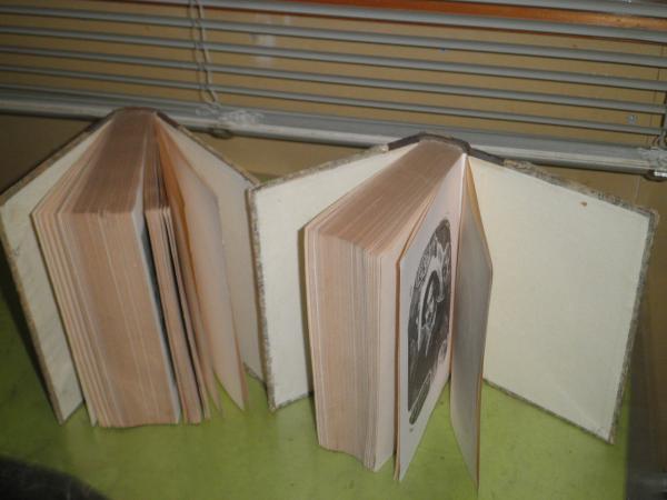 ゴオゴリ全集 第1巻ディカーニカ近郷夜話 第4巻短篇小説集鼻 肖像画 馬車 狂人の日記 ネフスキイ通り他 計2冊セット 初版 裸本 ヤケシミ汚難痛 ナウカ社 送料5円 L1右 古本 中古本 古書籍の通販は 日本の古本屋 日本の古本屋