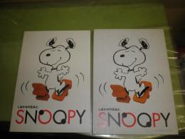 SNOOPY＆HIS　FRIENDS　ピーナッツ総合カタログ　 しあわせの足あと。1993年8月　初版函　少汚少難有　167頁　アートディレクション・浅葉克己
E49013