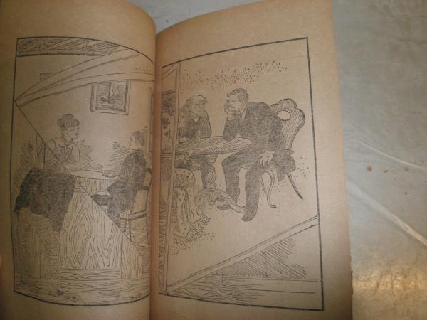 探偵小説 火焔の首 菊亭笑庸訳 序・丸亭素人 明治26年8月 初版