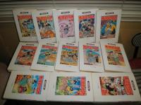 赤胴鈴之助　　全13冊　漫画名作選　　E8左下段

