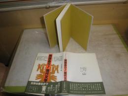 インタヴュー集　異議あり！　現代文学　　　文学時標社編　　埴谷雄高　桐山襲　本多秋五　小田切秀雄　小田実　島田雅彦ほか