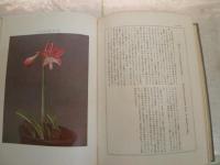 原色花卉類図譜　石井勇義著　ヤケシミ汚難痛有　H3の3