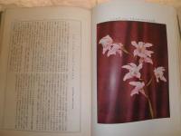 原色花卉類図譜　石井勇義著　ヤケシミ汚難痛有　H3の3