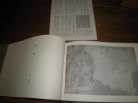 矢数俳諧集　　天理図書館善本叢書第77巻　乾裕幸解題　月報付　E10右