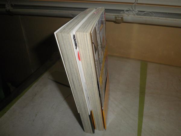 第三世界の長井 1 2 2冊セット ながいけん著 小口少ヤケ K3左 ながいけん著 湧書館 古本 中古本 古書籍の通販は 日本の古本屋 日本の古本屋