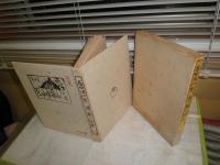 富田渓仙　　俳画の図案　　蔵印有　シミ多し　ヤケ汚難痛有　E1左