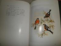 鳥人グールド　美しいアジアの鳥　　山階芳麿監修　L2