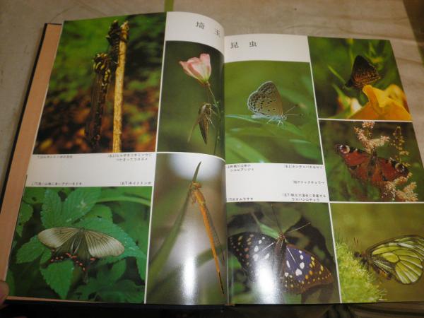 動物誌『埼玉県動物誌』1978年 B5判 588頁 地図・函付 埼玉県